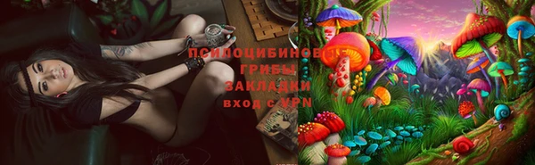 apvp Балабаново