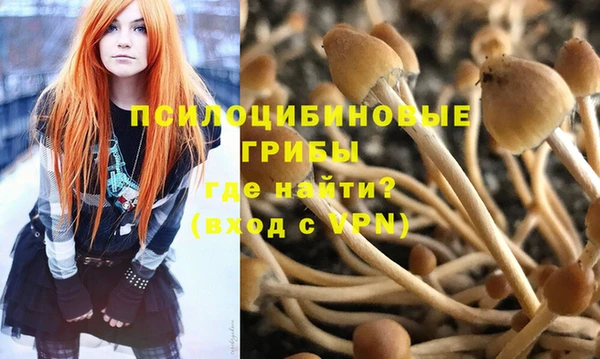гашик Баксан