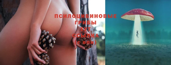 apvp Балабаново