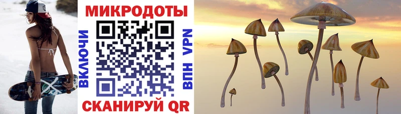 Псилоцибиновые грибы ЛСД  KRAKEN как войти  Кодинск 