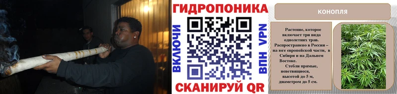 Бошки Шишки White Widow Кодинск